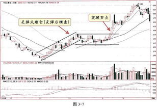 在股票中什么叫加仓和建仓？？？