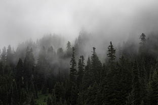 桂林山水间，那些流传千年的美丽传说，桂林故事与传说