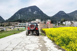 沙坪老街励志哥  原垫江坪山界枫林场现怎么样？我77年当知青啊？