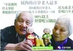 全青岛平度百岁老人最多 老人可以享受哪些优待,你知道吗 