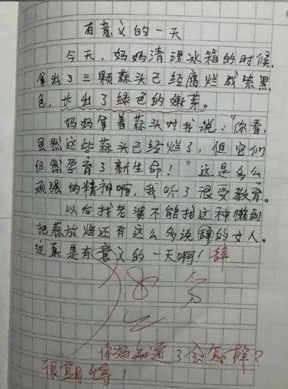 我想去看看小学作文