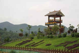 莼湖免费停车场有哪些地方,宁波奉化南岙村,梅林映古寺,绿水绕青山,藏于山坳却成网红景点