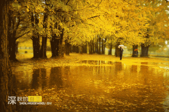 关于秋雨绵绵的诗句
