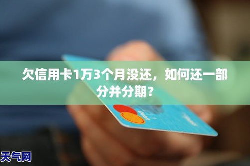 招行信用卡三万元分期24个月还款利息是多少(招行信用卡3万分期利息)