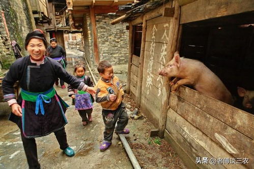 有人建议,农村每家每户都养一头猪,会出现什么新现象