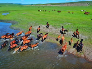 内蒙古暑期旅遊攻略最新推薦