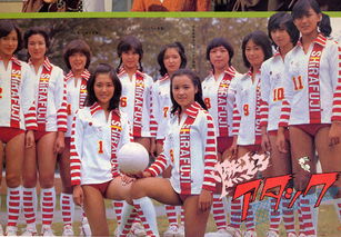 电视剧排球女将日本版,日本版女子排球:再现经典,燃烧青春激情的海报