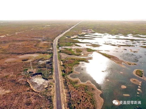 新疆新增9个 国家湿地公园 快来看看都在哪儿