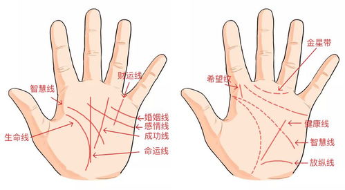 摊开手掌,看事业财运,看感情婚姻,准 理财 