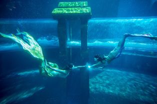 亚特兰蒂斯水世界夜场启幕 助推三亚旅游市场