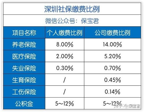 五险公司与个人缴纳比例