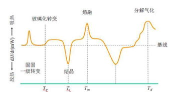 dsc升温速率越快，tg越高吗