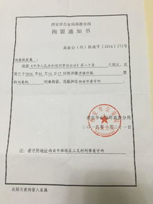 一个普通人突然被关进看守所20天会经历什么呢 