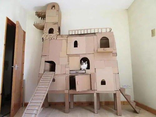 家有萌宠 猫咪不开心,用一座城堡来治愈吧