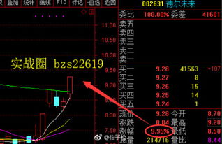 年近将来深股内那个比较好？