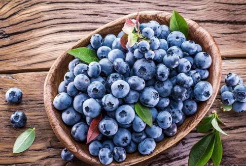 蓝莓如何保存