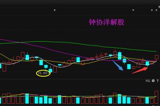 西藏矿业什么时候会升