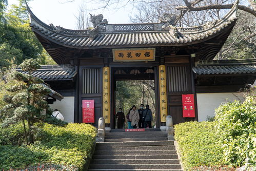 在杭州灵隐寺隔壁,还有个免门票的永福寺,少有人知却值得一去