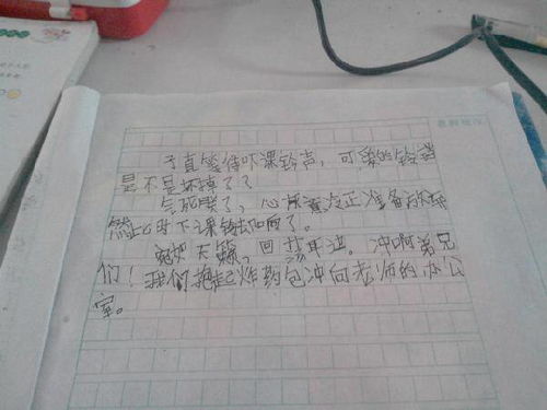 succe作文100字