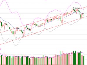 烟台哪家证券交易公司好额想开户炒股票