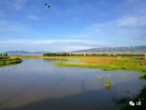 塞上青钟湖光美 