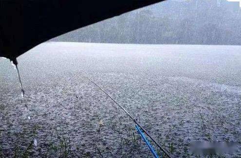 天气对出鱼的影响 钓鱼必知