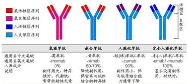 单克隆抗体概念股有哪些