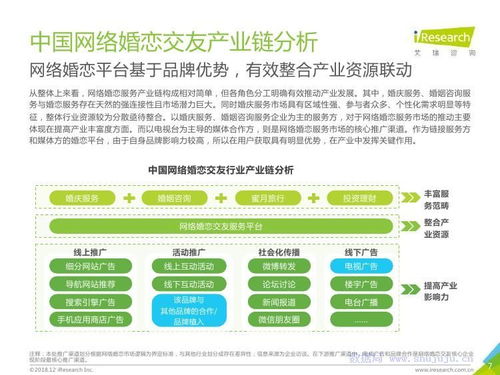 同城交友网艾瑞中国婚恋交友