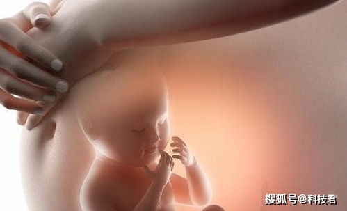 原创胎儿晚上频繁“胎动”和这3个原因有关！孕妈要正确对待！