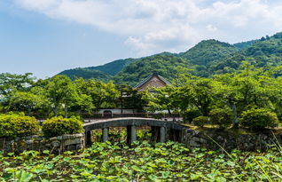 香山游记，游香山作文400字四年级