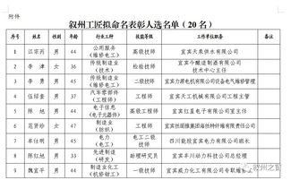 叙州工匠拟命名表彰人选公示