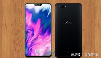 OPPO，vivo属于哪家公司