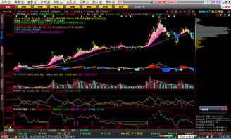 刚学炒股,下载了大智慧软件,上面很多看不懂,有人能为我解释下吗?