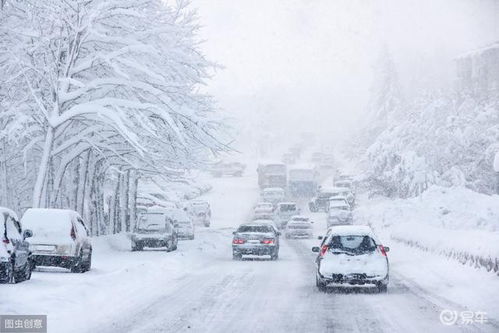 在冬天下雪该如何驾驶车辆 