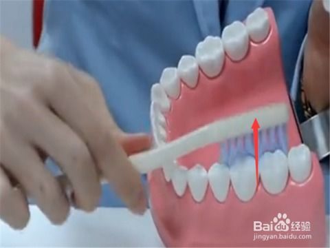 正确的刷牙方法视频