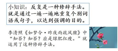 听写十课词语解释,七年级上册第九课成语解释？