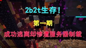 中国2b2t生存系列第一期