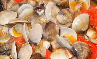 大蛤蜊的做法,大蛤蜊的五步烹饪法，让你的餐桌增添鲜美的色彩！,第5张