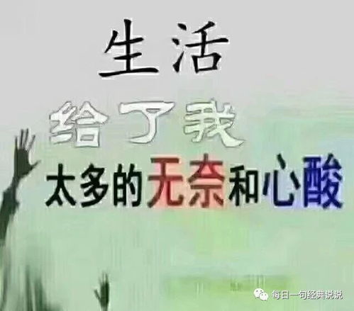 食神经典名言,关于厨师的个性签名？