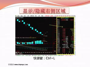 股票如何培训 股票入门?