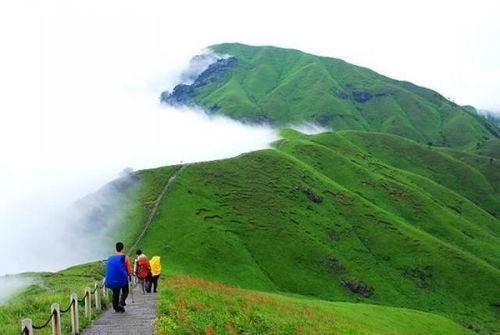 如果您是一名登山爱好者,那么这里一定不会让您失望 云海 金顶 山顶 