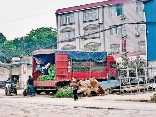 新消息!探索安亭，揭秘当地香烟批发市场的热门地点“烟讯第38705章” - 3 - 680860香烟网