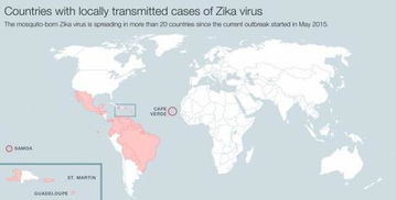 zika病毒(捆绑病毒是怎么回事)