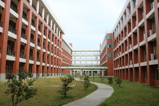 广东公办大学有哪些学校,广东省公办大学有哪些学校(图1)