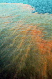 渤海湾溢油事故现场出现巨大赤潮带 