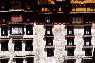 冬游西藏,布达拉宫随便进了