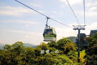 2019水晶缆车是猫空的最大特色,能坐上真是幸运 我觉得猫空真的很适合带孩子来,小朋友一定会喜欢 猫空缆车 评论 去哪儿攻略 