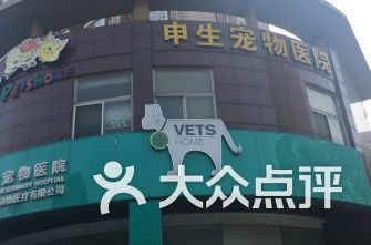 上海宠物医院排行 