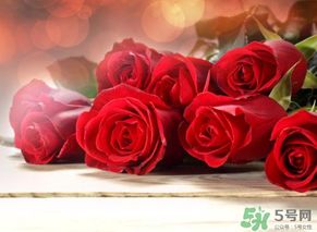 送母亲什么颜色的玫瑰，让爱永不凋谢？