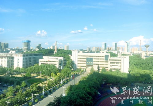武汉职业技术学院分数,武汉职业技术学院美术生录取线是多少